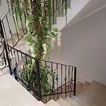 Oxygen Boutique
