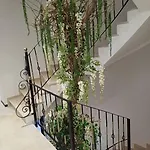 Oxygen Boutique Тирана