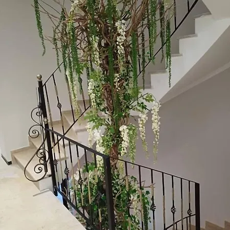 Oxygen Boutique Tirana