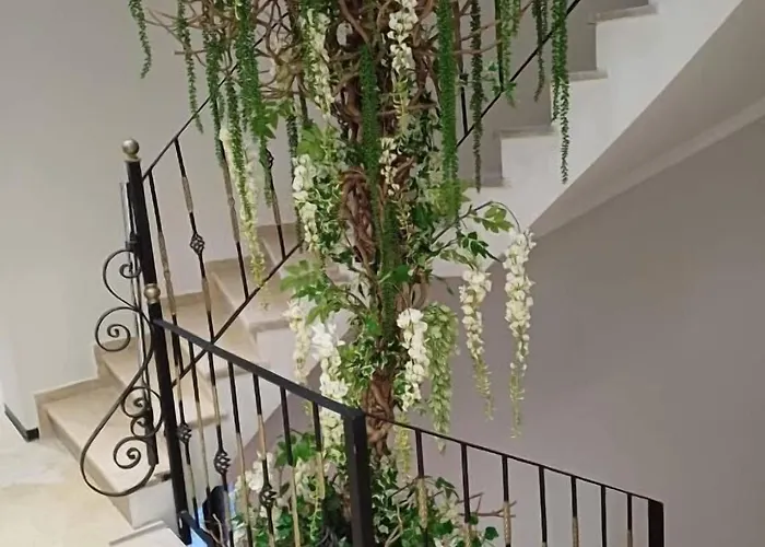 Oxygen Boutique Tirana